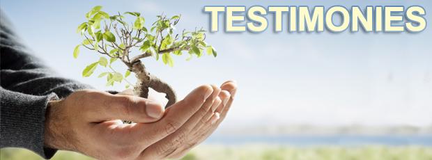 TESTIMONIES