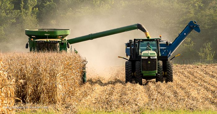 Harvest Season -  Isaiah 3:10