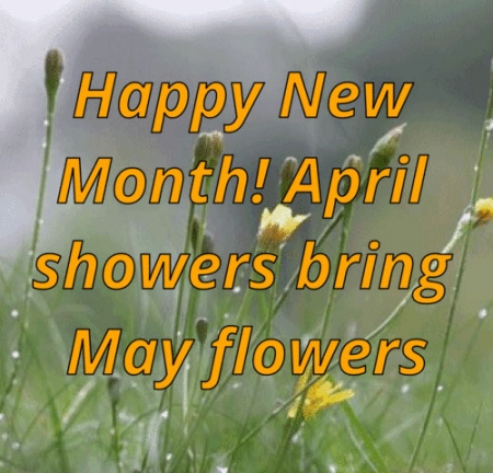 THANKSGIVING - April, our month of new things!